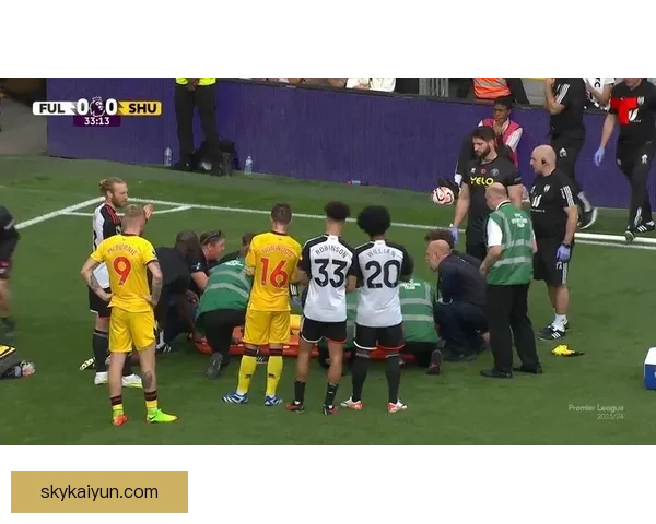 谢菲联球迷数量持续增长，展现出强大的社区支持和参与热情